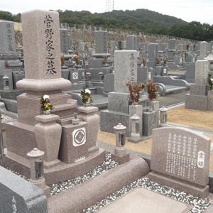 桜小目石普通型墓石