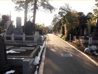 谷中霊園墓所2